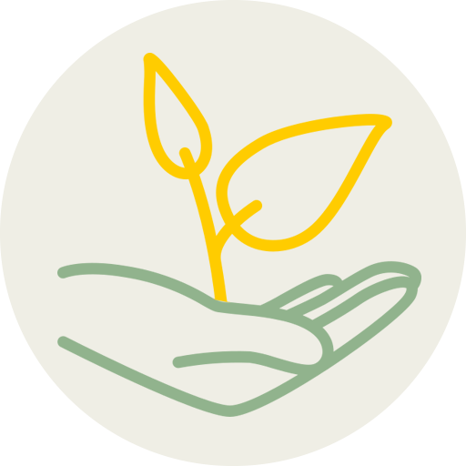 Прозрачный процесс лечения